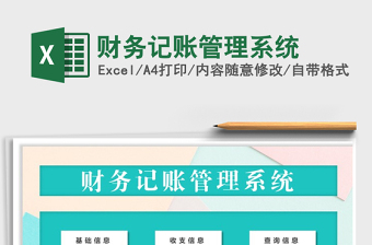 2024年财务记账管理系统