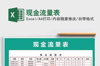 2025年现金流量表