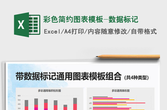 2025年彩色简约图表模板-数据标记