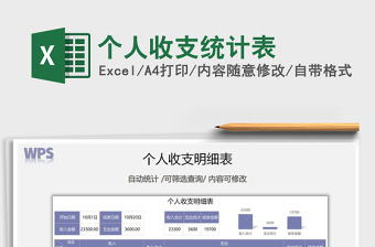 2025年个人收支统计表