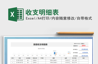 2025年收支明细表