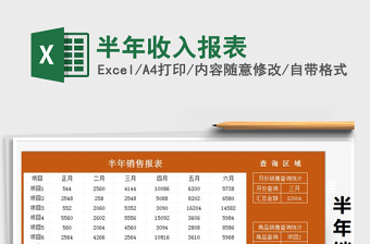 2025年半年收入报表