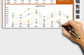 2025年半年收入报表