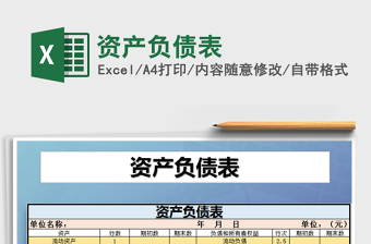 2025年资产负债表