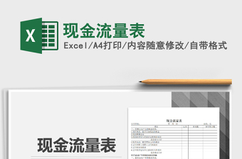 2025年现金流量表