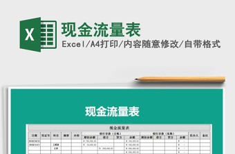 2025年现金流量表