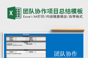 2025年团队协作项目总结模板
