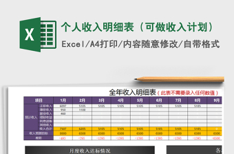 2025年个人收入明细表（可做收入计划）免费下载