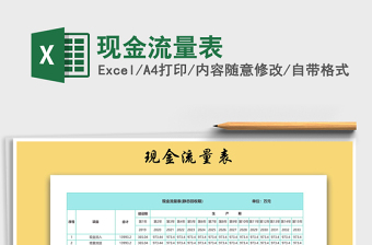 2025年现金流量表