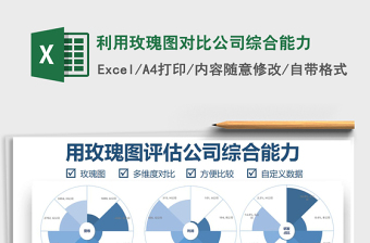 2025年利用玫瑰图对比公司综合能力