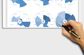2025年利用玫瑰图对比公司综合能力