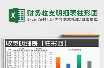 2025年财务收支明细表柱形图