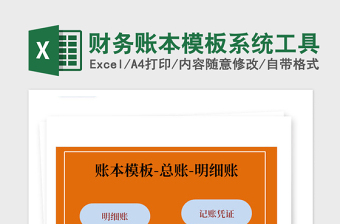 2025年财务账本模板系统工具