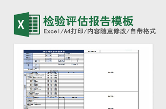 2025年检验评估报告模板
