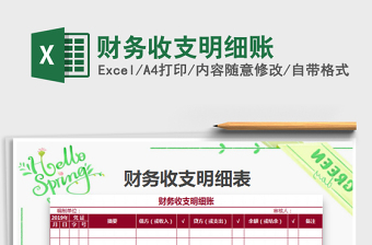 2025财务收支明细账免费下载