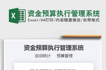 2024资金预算执行管理系统exce表格