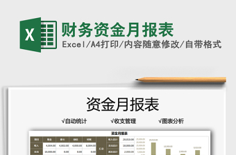 2025财务资金月报表免费下载