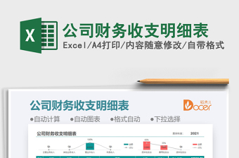 2025公司财务收支明细表免费下载