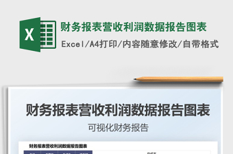 2025财务报表营收利润数据报告图表免费下载