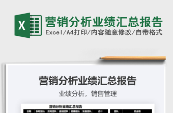 2025营销分析业绩汇总报告免费下载