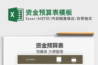 2025资金预算表模板免费下载