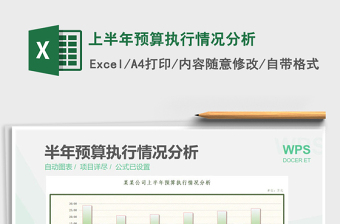 2025上半年预算执行情况分析免费下载