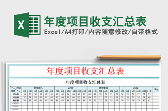 2025年度项目收支汇总表免费下载