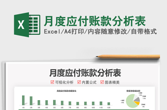 2025月度应付账款分析表免费下载