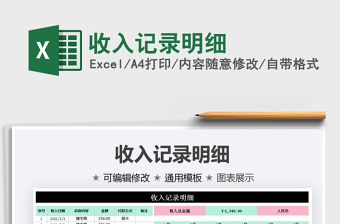 2025收入记录明细免费下载
