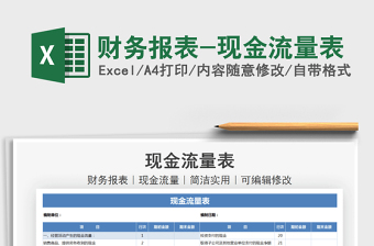 2024财务报表-现金流量表exce表格