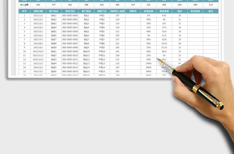 2025销售收入明细表-金额查询免费下载