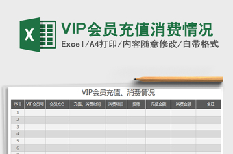 2025VIP会员充值消费情况免费下载