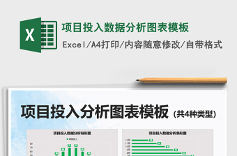 2025项目投入数据分析图表模板免费下载