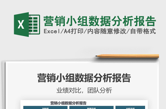 2025营销小组数据分析报告免费下载