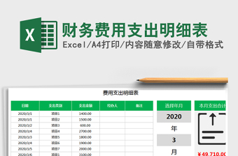 2025财务费用支出明细表免费下载