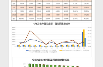 企业年度营收财务报表分析