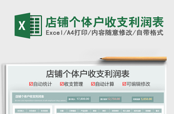 2025店铺个体户收支利润表免费下载