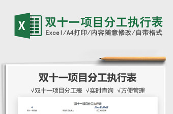 2025双十一项目分工执行表免费下载