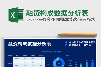 2025融资构成数据分析表免费下载