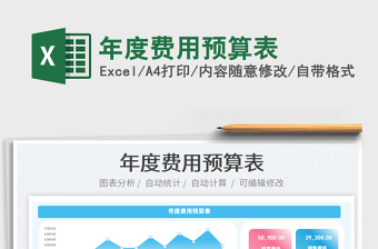 2025年度费用预算表免费下载