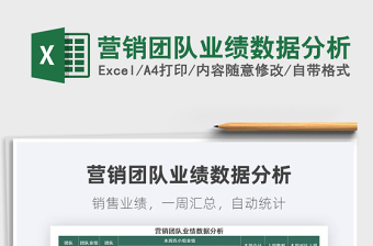 2025营销团队业绩数据分析免费下载