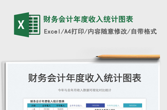 2025财务会计年度收入统计图表免费下载