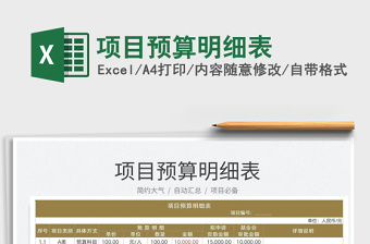 2025项目预算明细表免费下载