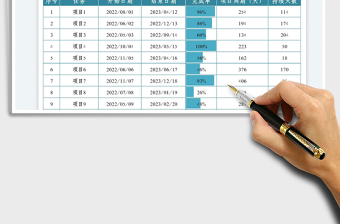2025项目进度执行情况表免费下载
