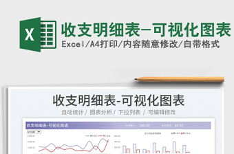 2025收支明细表-可视化图表免费下载