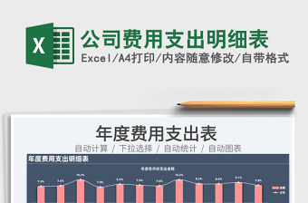 2025公司费用支出明细表免费下载