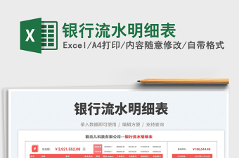 2024银行流水明细表exce表格