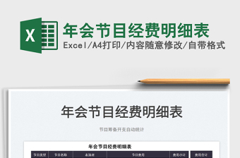 2025年会节目经费明细表免费下载