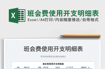 2025班会费使用开支明细表免费下载