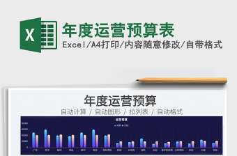 2025年度运营预算表免费下载